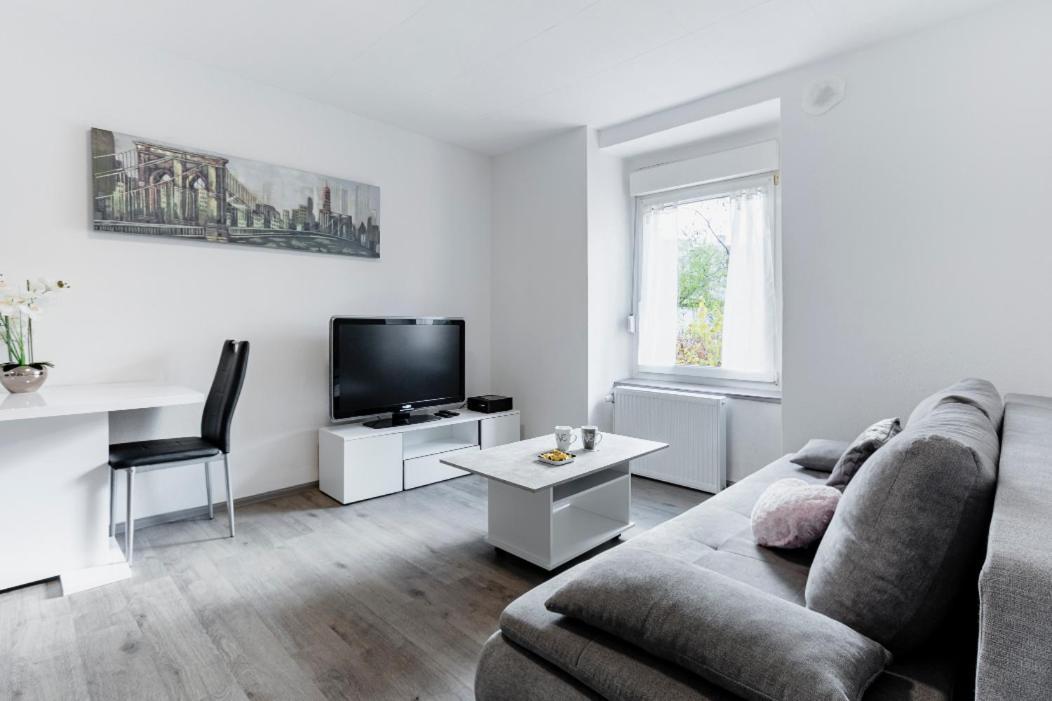 Comfort Stay Basel Airport 2A46 Saint-Louis (Haut-Rhin) Exterior foto
